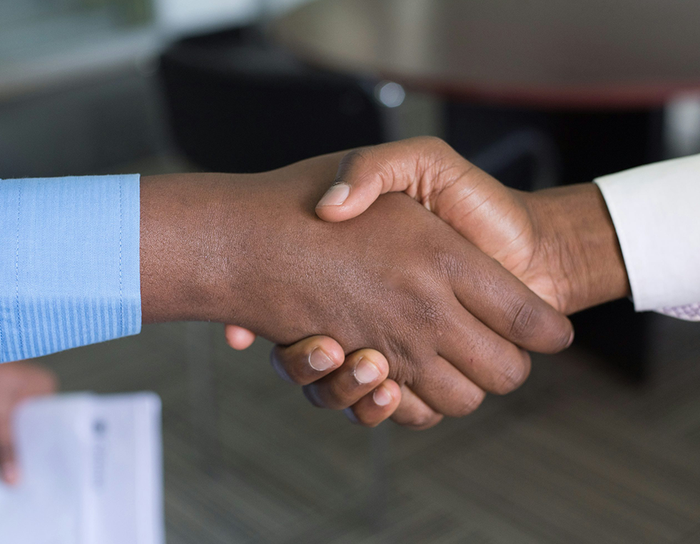 Networking professionnel